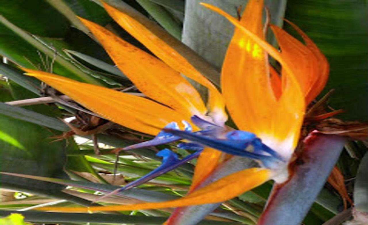 Villa Hacienda Sol Trapiche Trapiche  Esterno foto